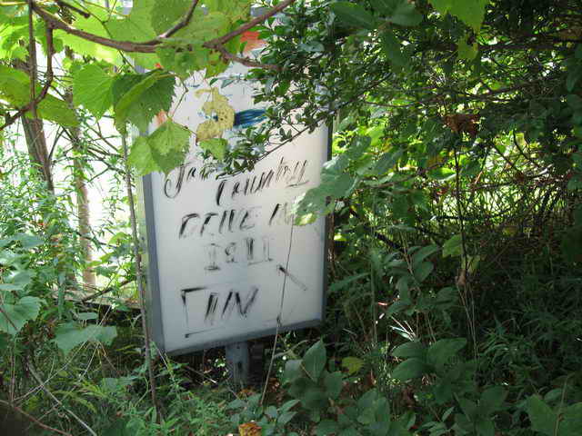 Town and Country Drive-In I & II - 2010 Photo (newer photo)